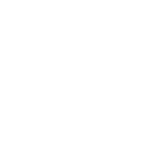 Icono de Misión Corporativa
